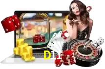 D11